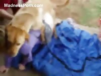 Fabulous zoophilia fuck session featuring a thick bottomed teen