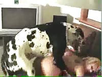 Sex-charged bodacious older woman lures the family pet into banging her in this beast sex vid