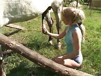 Horse Story DVD - Fuck-hungry Australian girl enjoys sucking and masturbating horse cocks