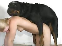 Massive Rottweiler mounting and screwing a skinny teen animal lover