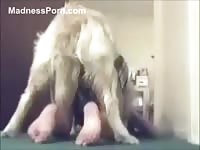 Slutty schoolgirl recovers from a hard day of classes by engaging in bestiality with her dog
