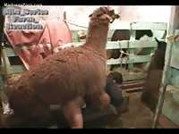 Large animal anal fucking a wanting housewife in this zoo sex video