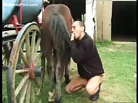 Fresh-faced animal sex curious twink sucks horse dick for a warm load of cum to enjoy