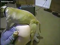 All natural fresh-faced cougar bends her thick ass over for animal sex with a large dog