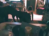 Drunk sexy teen is having fun with her dog in the living room