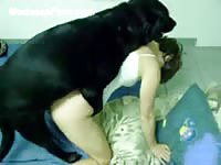 Assertive never before seen dark haired teen gets nailed by dog in this home bestiality movie