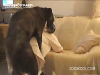 Zooskool - Slutty married slut in a t-shirt engaging in bestiality with dog to fill her hubby's dirty fantasy