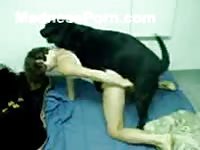 Bestiality movie features a sweet brunette cutie in the doggy position getting screwed by dog