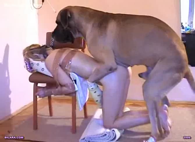 Girl Dog Captions - Bilara - Petite teen girl bound to a chair and fucked from behind by an  enormous dog - Zoophilia Porn, Zoophilia Porn With Dog, Zoophilia Porn With  Teen at MadnessPorn