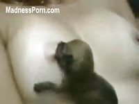 Flirty bodacious MILF breast feeding her puppy in this animal fetish movie