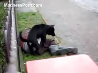 Drunk homeless man is getting banged by a black dog in the street