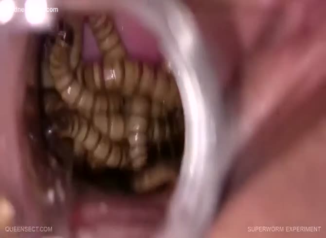 670px x 490px - Bizarre insertion video featuring a young amateur Asian stuffing live worms  in her cunt - Zoophilia Porn, Zoophilia Porn Homemade at MadnessPorn