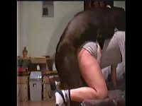 Coed hoe getting her wet fuck hole screwed by an endowed dog in this bestiality fuck movie