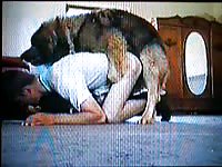 Bent over cock craving skinny dude looks at his webcam while getting anally fucked by a dog