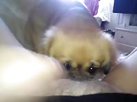 Thrilling view as this never seen before whore opens her thighs and enjoys oral sex from beast