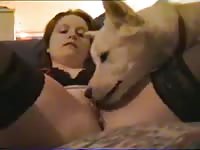 Wanting amateur satisfies her craving for tongue play by welcoming K9 to eat her moist cunt