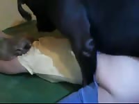 Old hoe rips the crotch of her jeans out so her dog can easily access and fuck her from behind