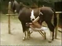 Horse Story DVD - This blonde slut takes a giant horse dong deep in her cunt