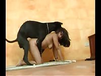 Fabulous bestiality fucking footage featuring a amateur housewife humped by huge dog