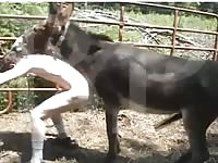 Skinny twink ends his day working on the ranch by getting naked and letting a Mule fuck him