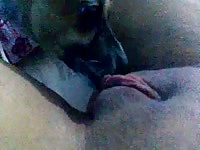 Spoiled amateur satisfies her craving for oral sex by allowing her dog to eat her shaved cunt