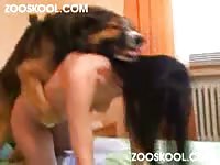 Zooskool - Irresistible fresh-faced college hoe getting fucked by a dog in this awesome beast fetish flick