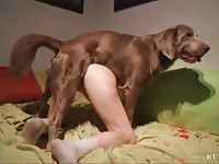 Naughty amateur fucked hard by her dog&#039;s big red knot