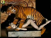 Incredible and creative animation video features huge pretty tiger slamming petite teen girl
