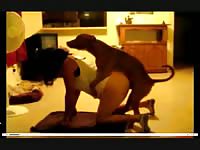 Pleasing homemade beast fucking video featuring a naughty cougar nailed well by happy K9