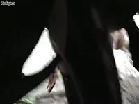Adorable small breasted married hoe gets creampied by a horse in this awesome beast flick