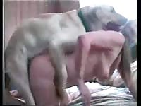 Shocking home movie of MILF getting screwed by a dog in this inspiring animal fetish flick