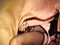 Married tramp getting her tight hole rammed by an endowed K9 in this steamy beast sex movie