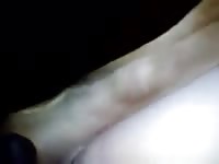 Closeup movie of a once shy slut with her legs spread and enjoying dog cock for the first time