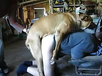 Cock starved skinny dude getting his ass fucked nicely by a large K9 in this beast sex video