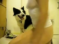 Long legged sinful college stunner with small tits bends over to enjoy oral pleasure from K9