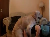 Wonderful home bestiality fucking movie featuring dirty married hoe getting screwed by K9