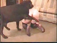 Snug amateur MILF mounted and drilled well from behind by enormous dog to satisfy her hole