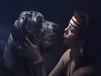 Arty promo showing dog lovers being affectionate to their favorite pets