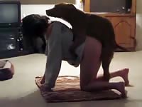 Steamy never seen before college beauty loving her first bestiality sex experience with K9
