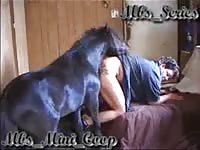Horse Fuckinghuman - African woman tried to fuck a horse - Zoophilia Porn, Zoophilia Porn With  Horse at MadnessPorn