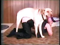 Amazing long-haired hussy getting screwed by a k9 in this thrilling animal fucking footage