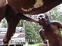 Insatiable ebony cougar hoe getting fucked by a horse in this awesome beast fetish flick