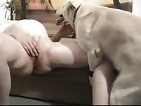 Pregnant girl masturbating while her dog humps her leg