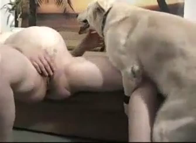 Dog And Man Sex Pregnant - Pregnant girl masturbating while her dog humps her leg - Zoophilia Porn,  Zoophilia Porn With Dog at MadnessPorn