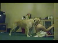 Irresistible married trollop getting slammed by a dog in this awesome beast fetish footage