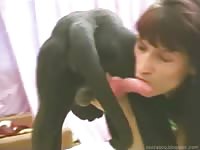 Older hussy shows off tremendous blowjob skills on a huge dog in this beast fucking movie