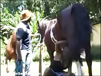Proud horse owner looks on while some random slut treats the animal to a wonderful blowjob