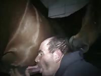 Cum thirsty curious middle aged dude blowing a horse one night while no one else was around