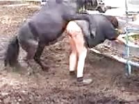 Thrilling hardcore animal fucking video featuring a plump hottie getting fucked by her K9