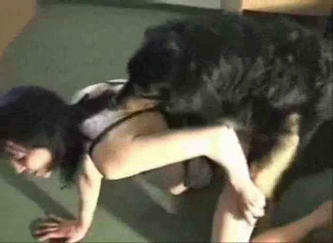 Shocking bestiality sex compilation that features fresh-faced sluts sucking and fucking dogs - Zoophilia Porn, Zoophilia Porn With Dog at MadnessPorn